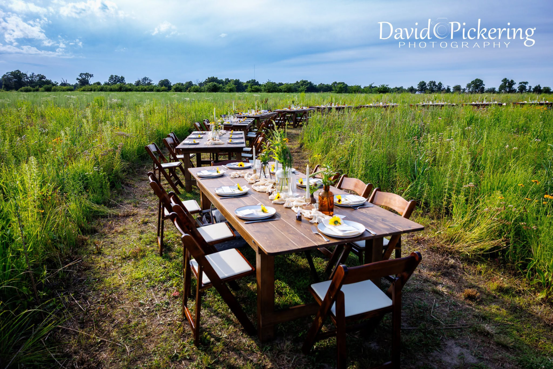 Long farm tables set for a dinner in the wildflower field